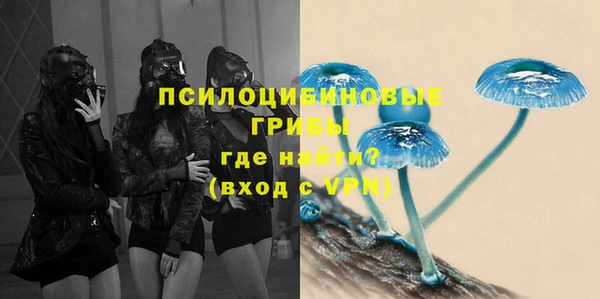 Альфа ПВП Алзамай